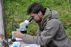 Wilderness International