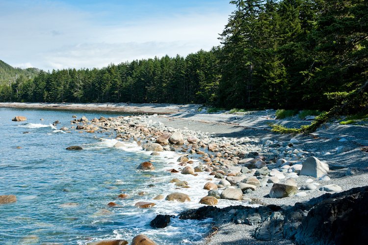 Wilderness International