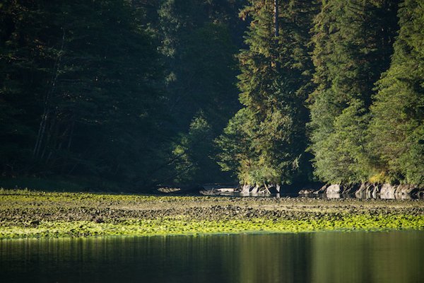 Wilderness International