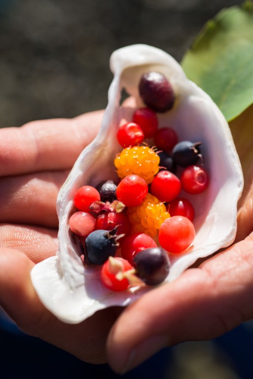 Wilderness International