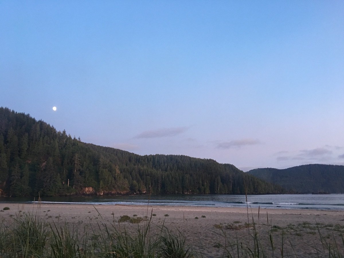 Wilderness International