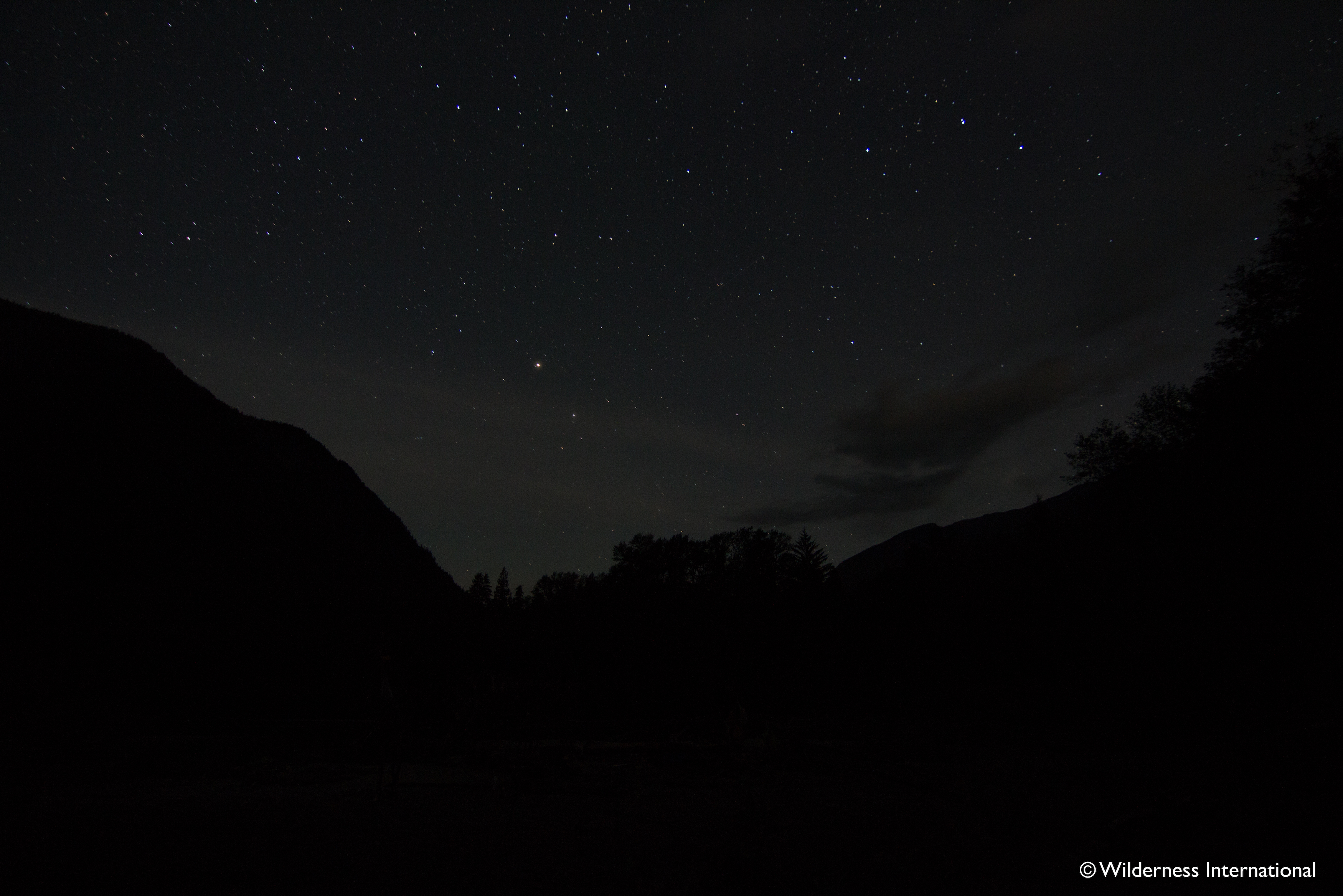 Wilderness International