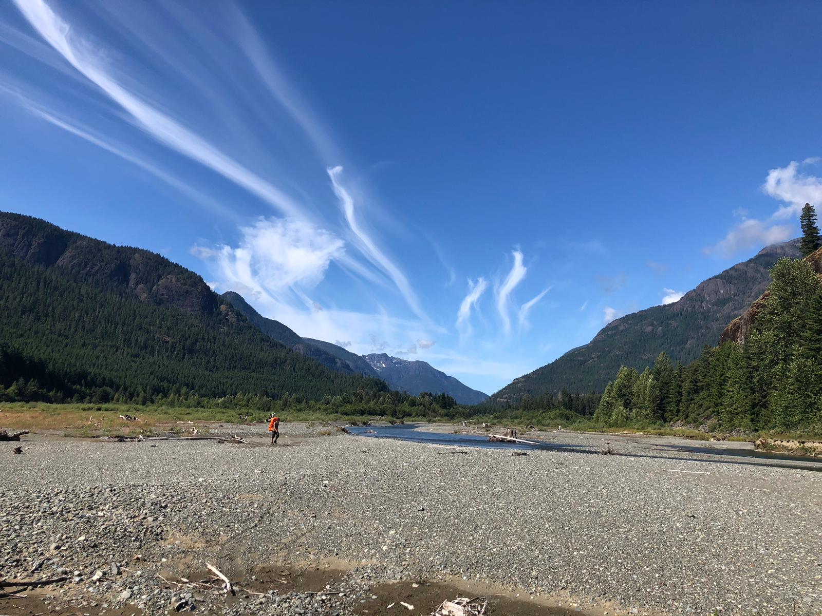 Wilderness International