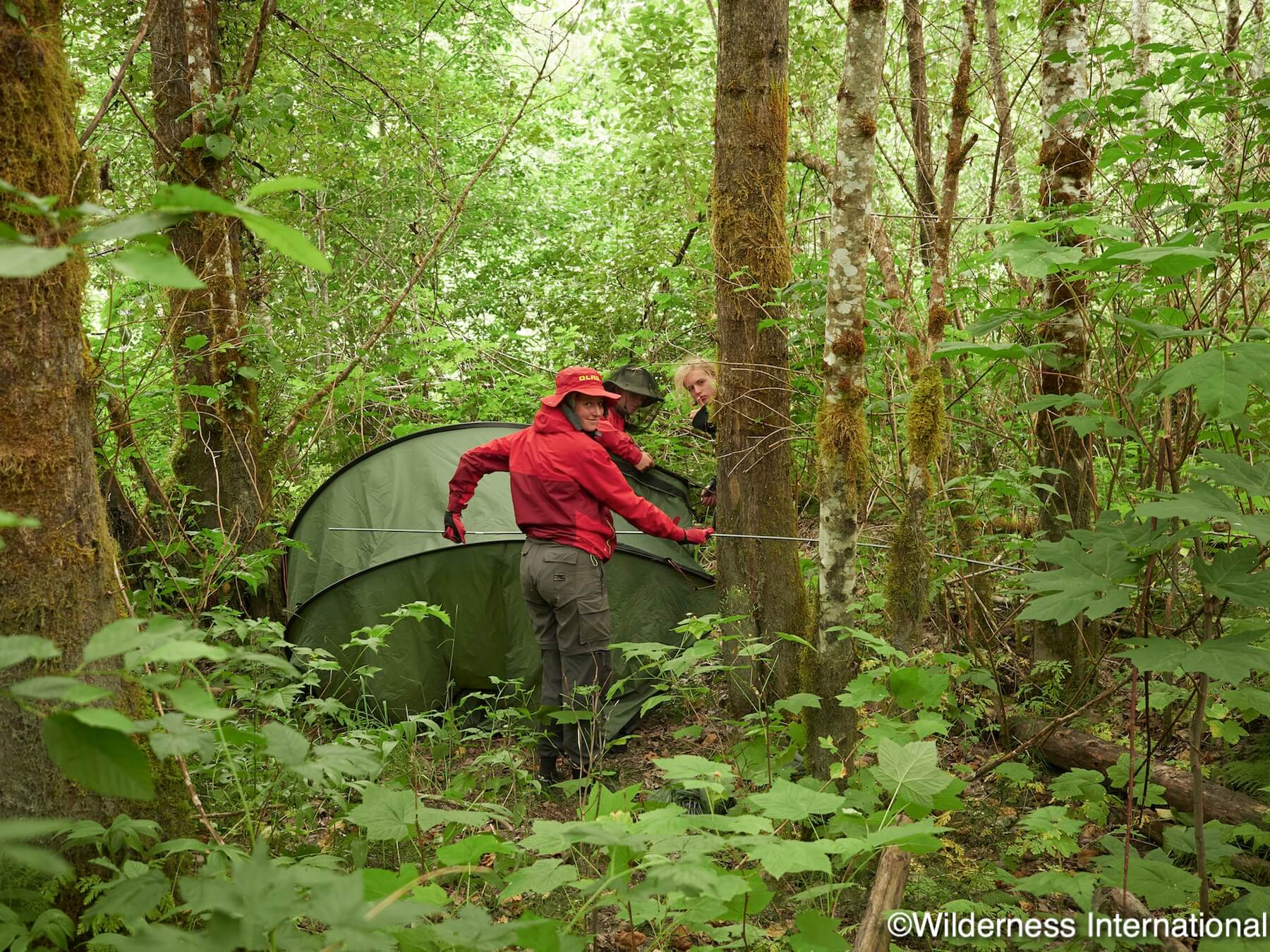 Wilderness International