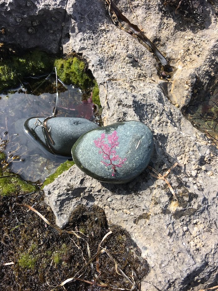 Wilderness International