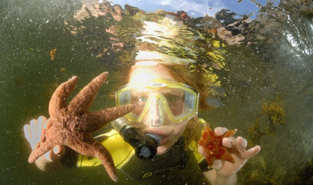 Wilderness International