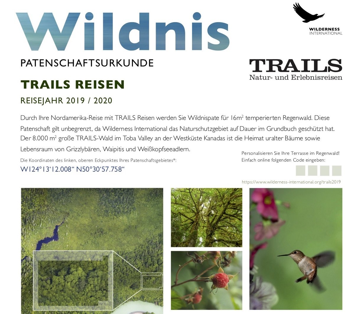 Wilderness International