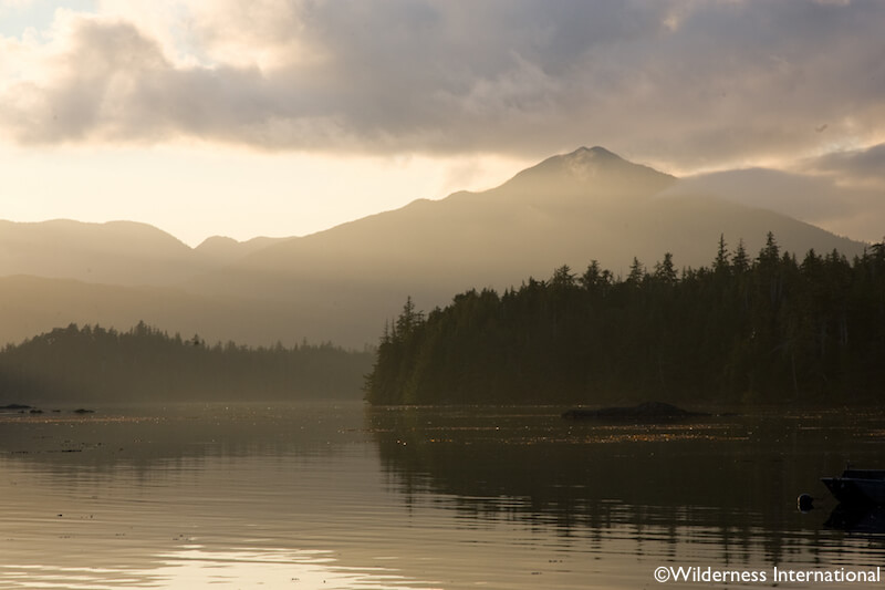 Wilderness International