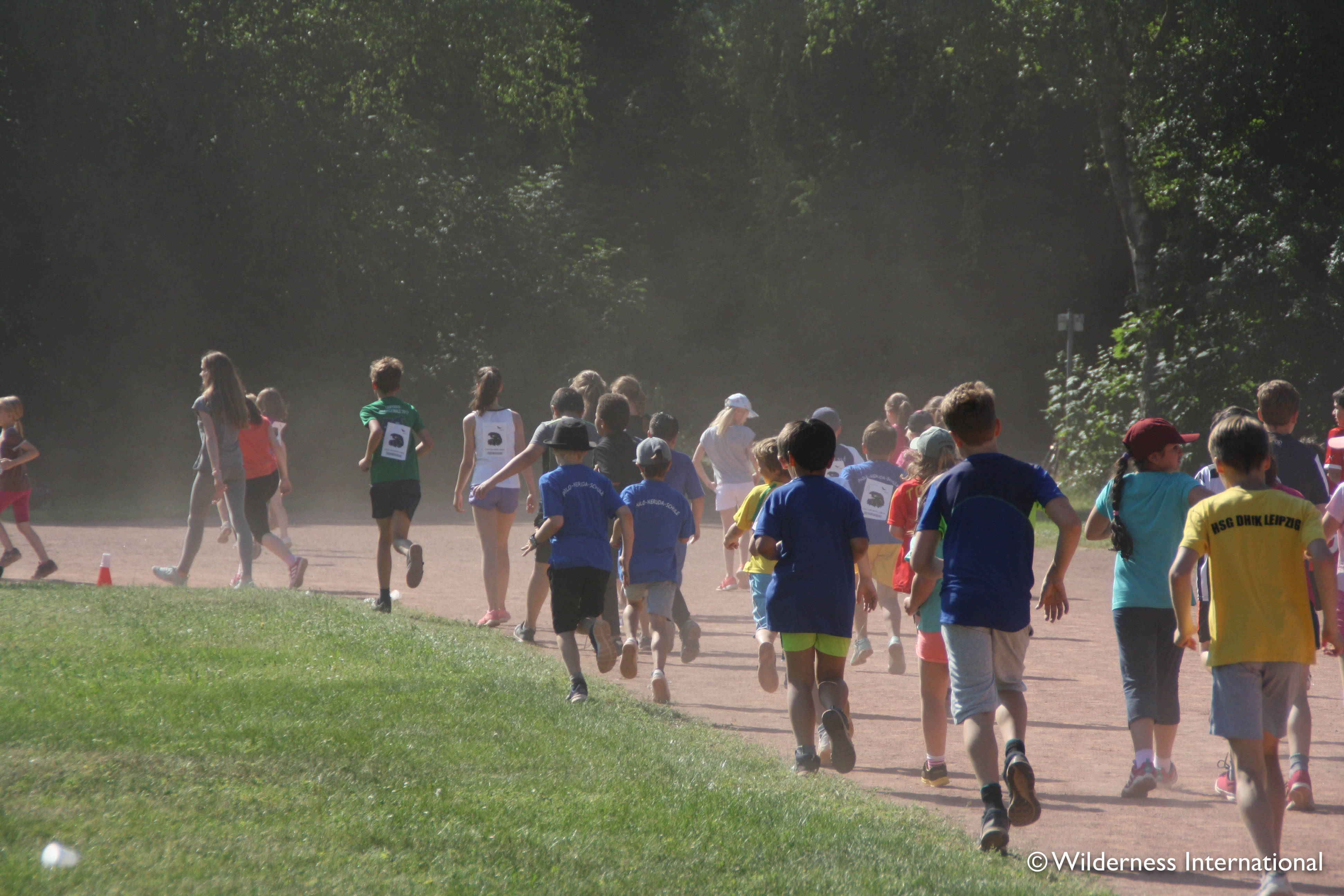 Wilderness International