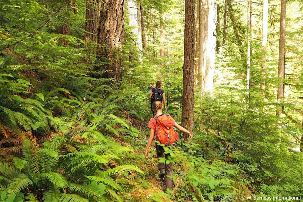 Wilderness International