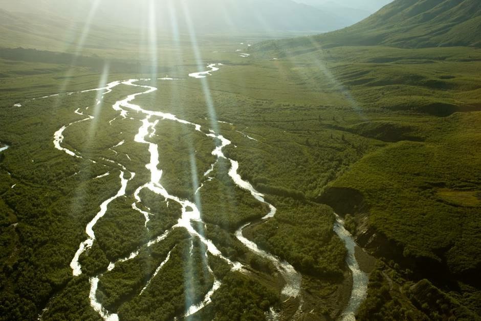 Wilderness International