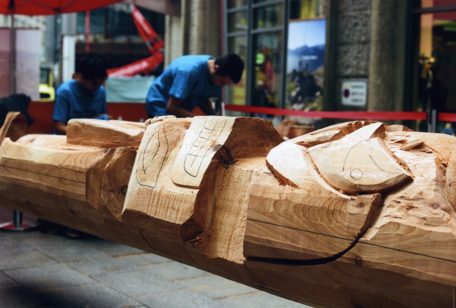 Wilderness International