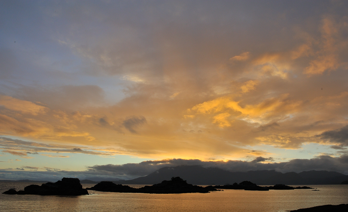 Wilderness International