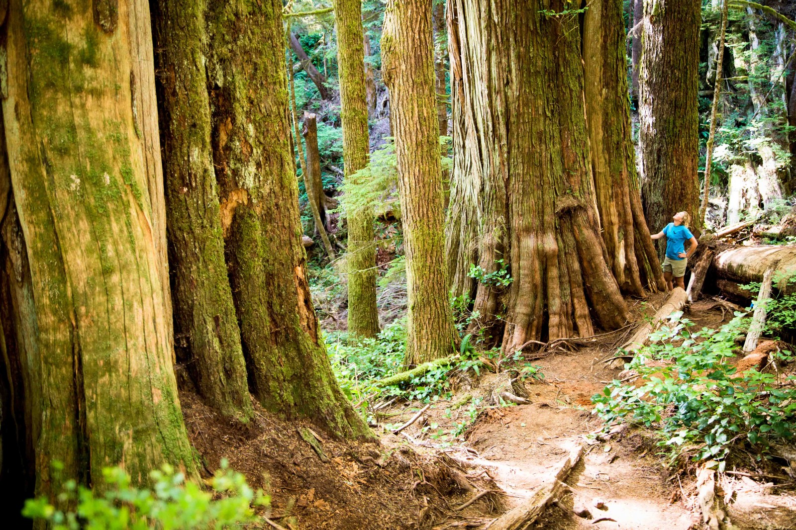 Wilderness International