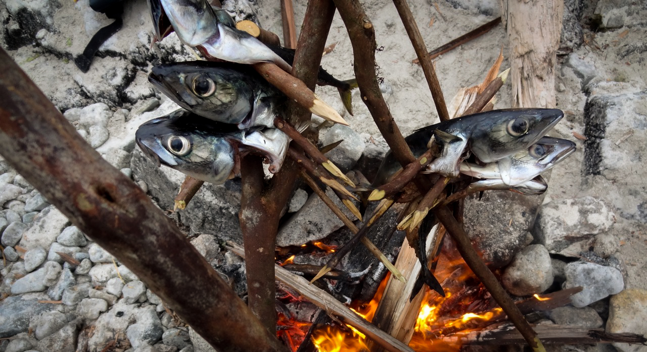 Wilderness International