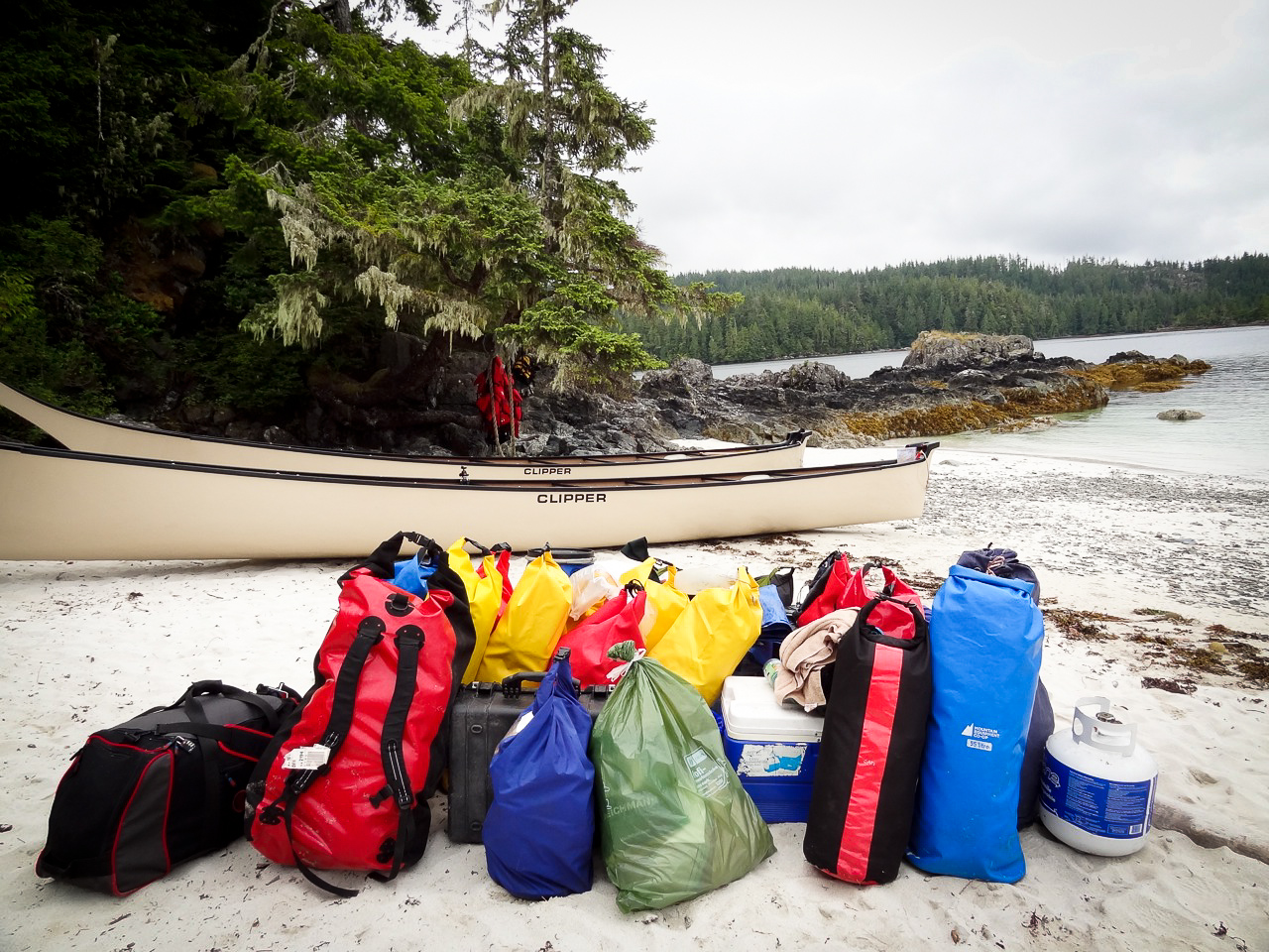 Wilderness International