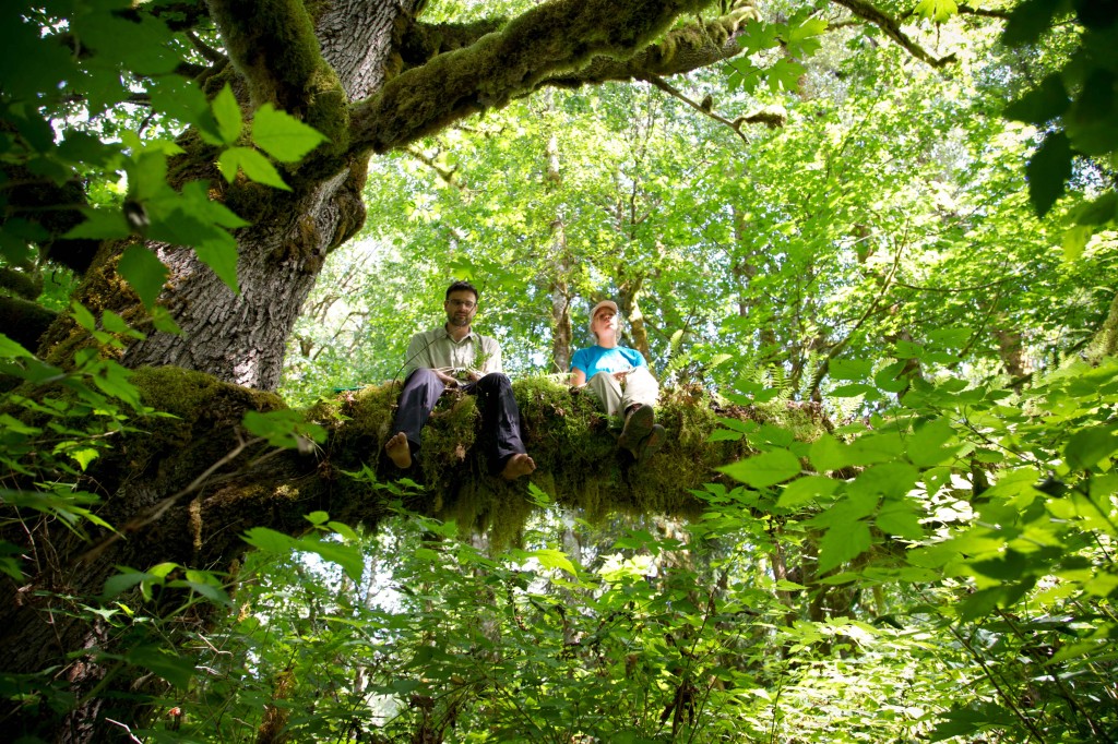 Wilderness International