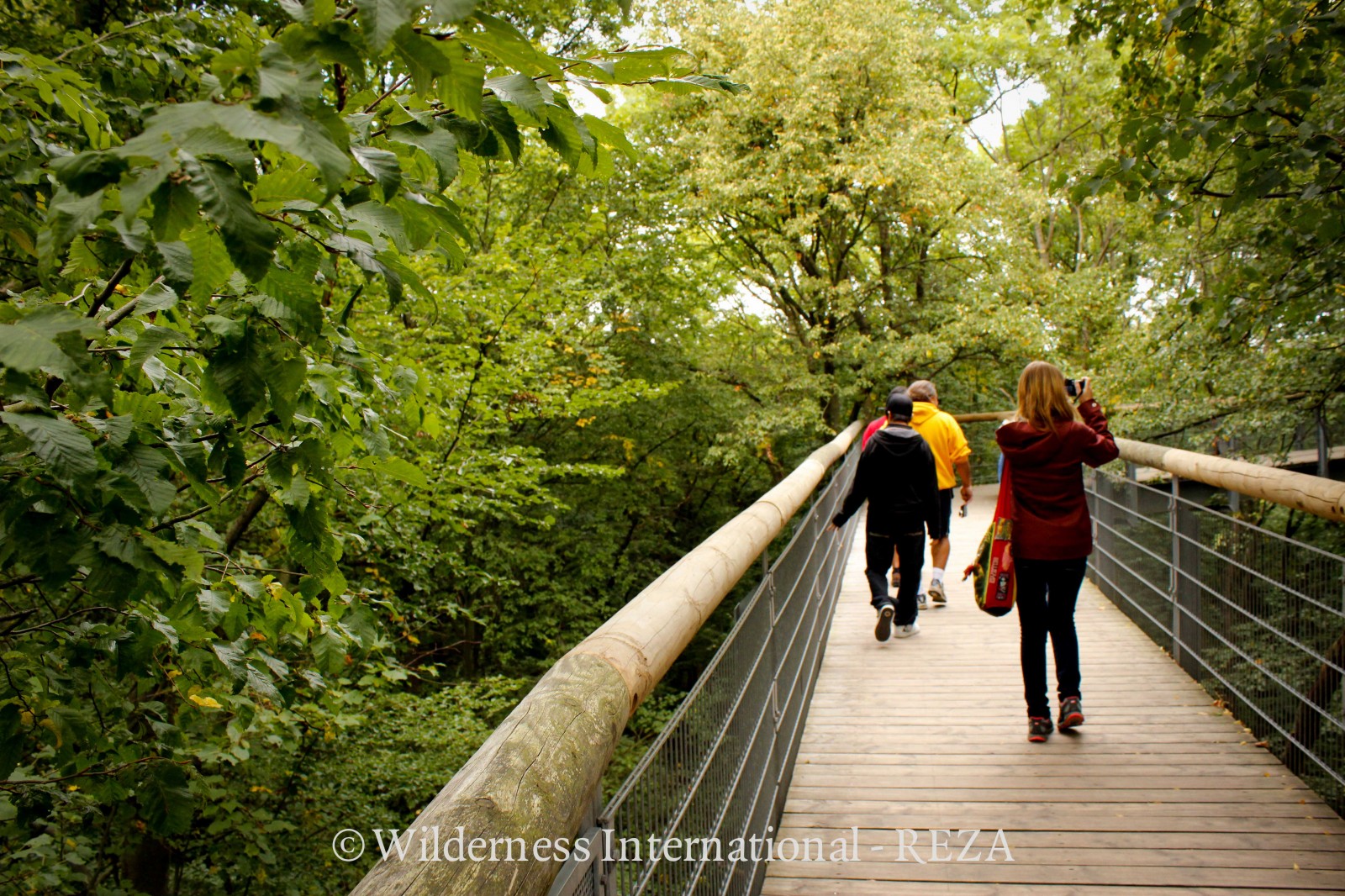 Wilderness International