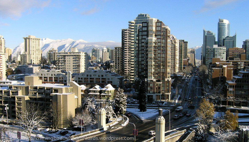 Wilderness International