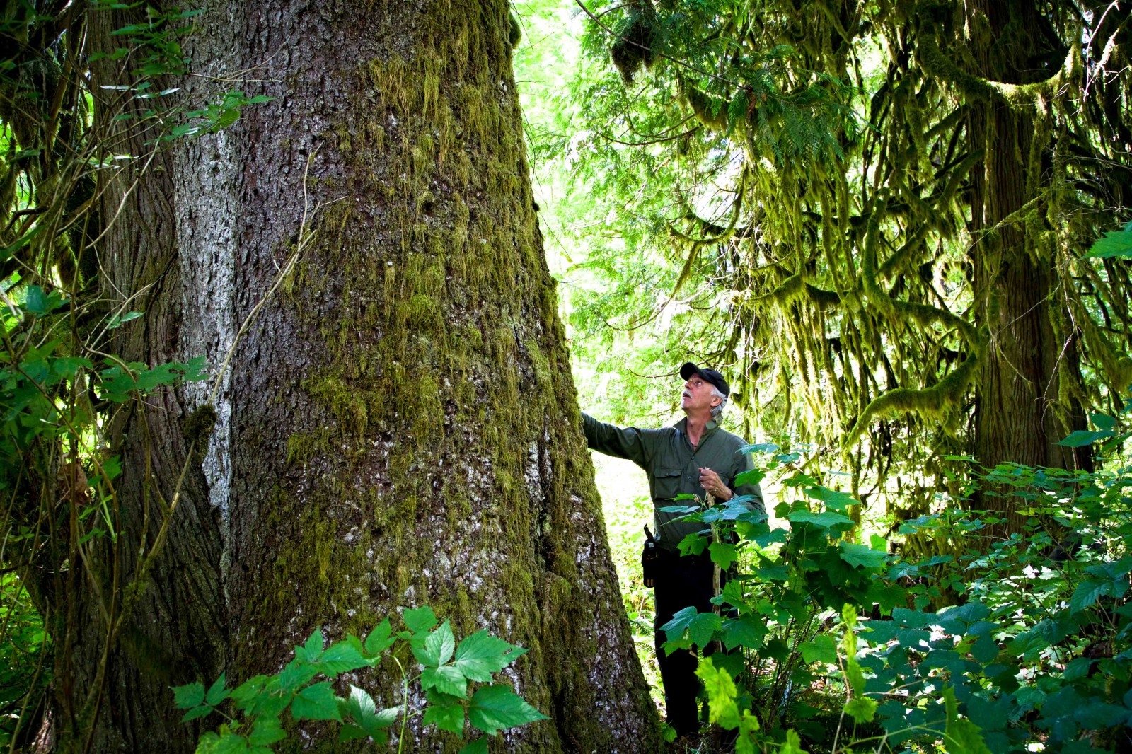 Wilderness International