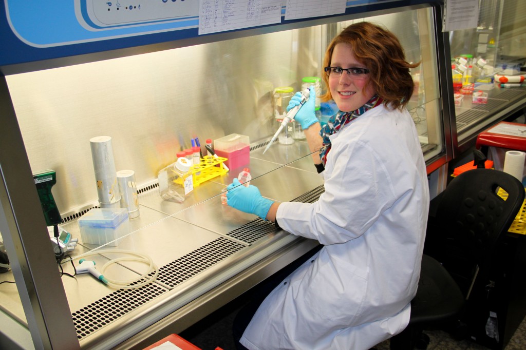 Wilderness International