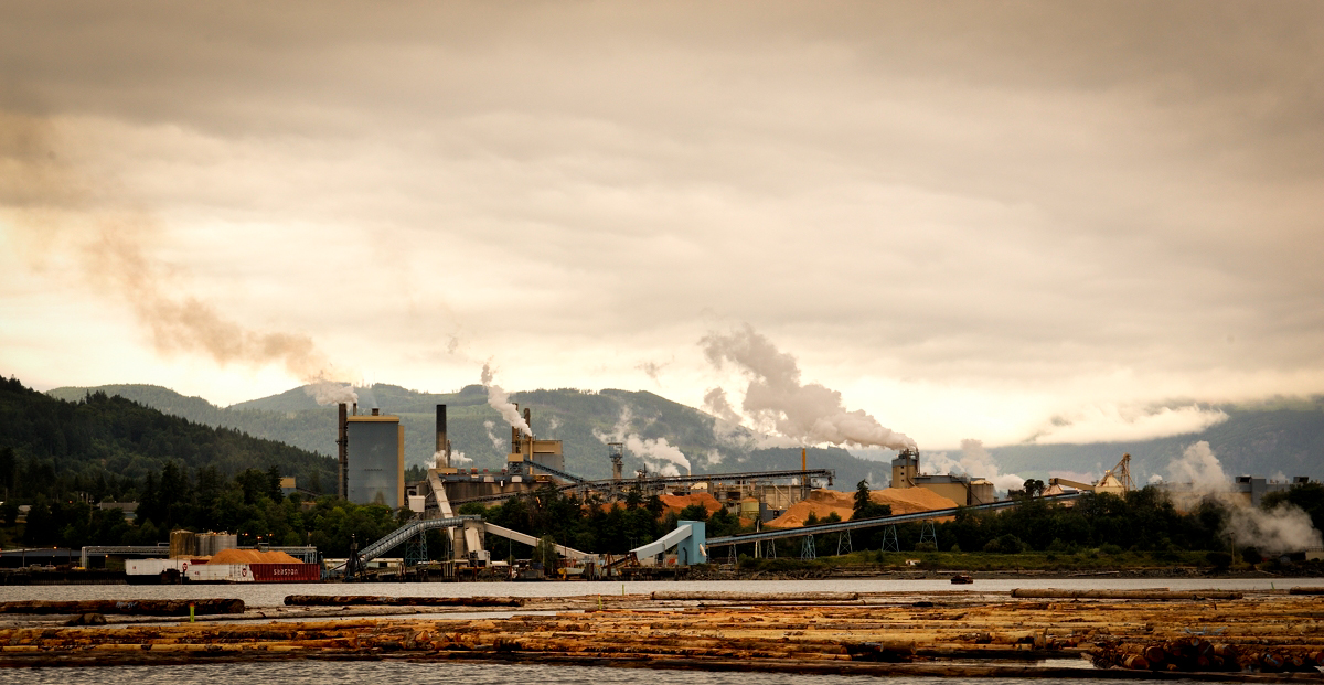 Wilderness International