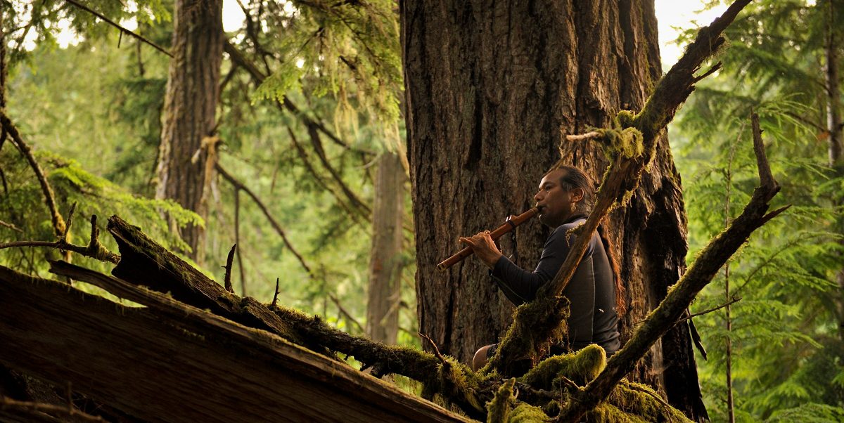 Wilderness International