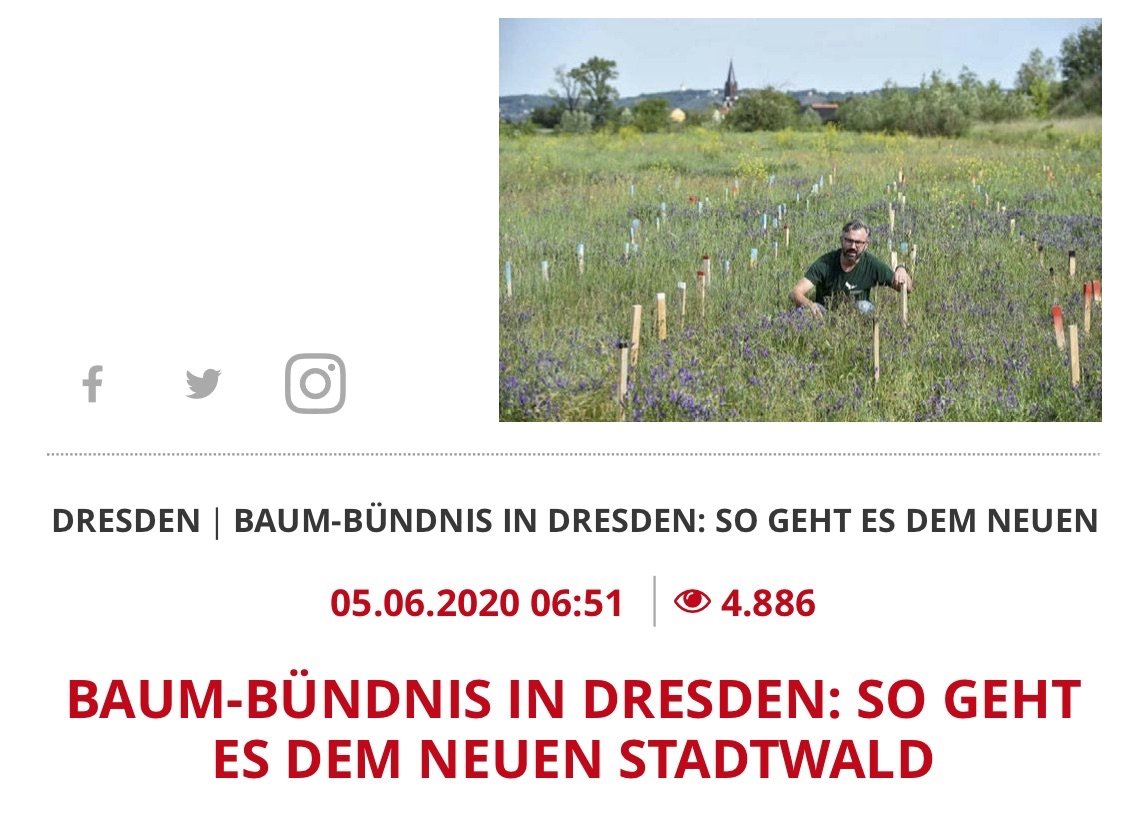 Wilderness International