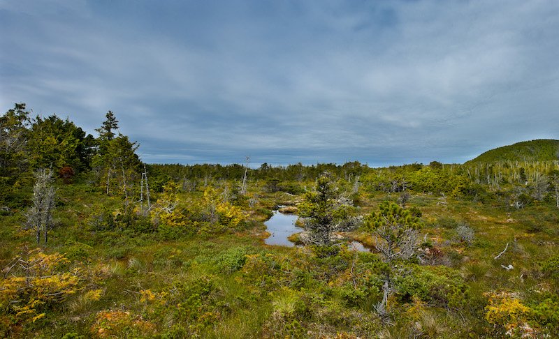 Wilderness International