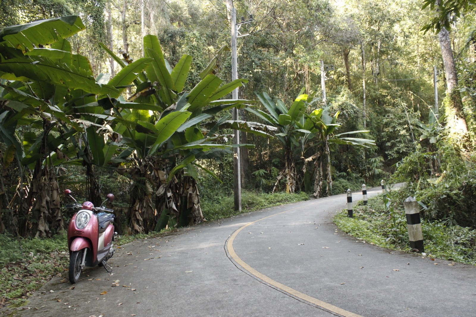 Wilderness International