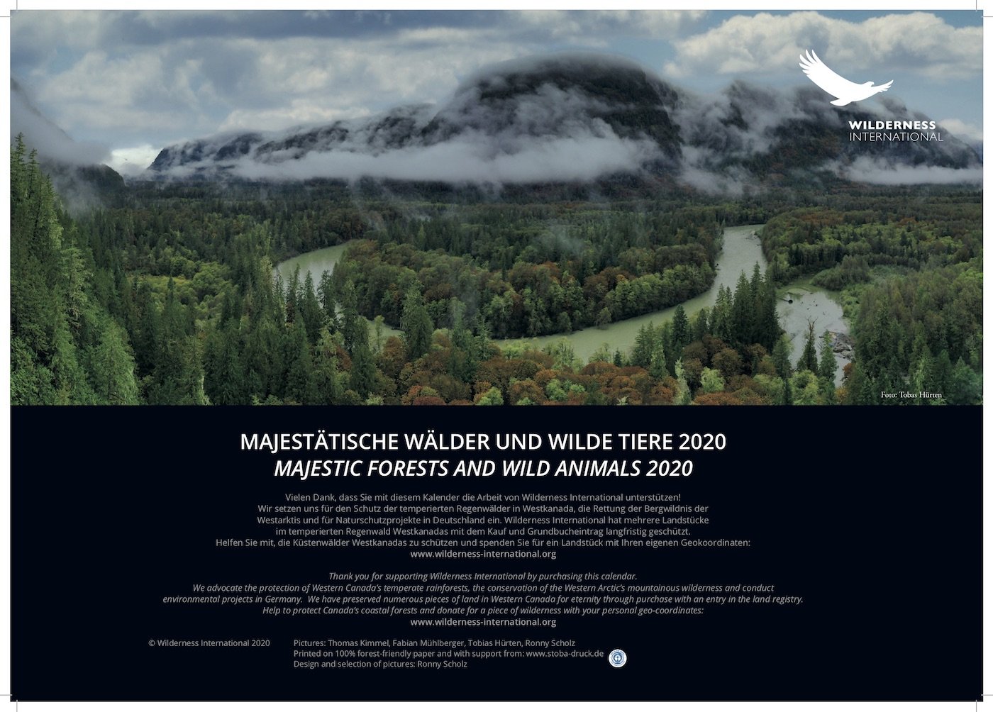 Wilderness International