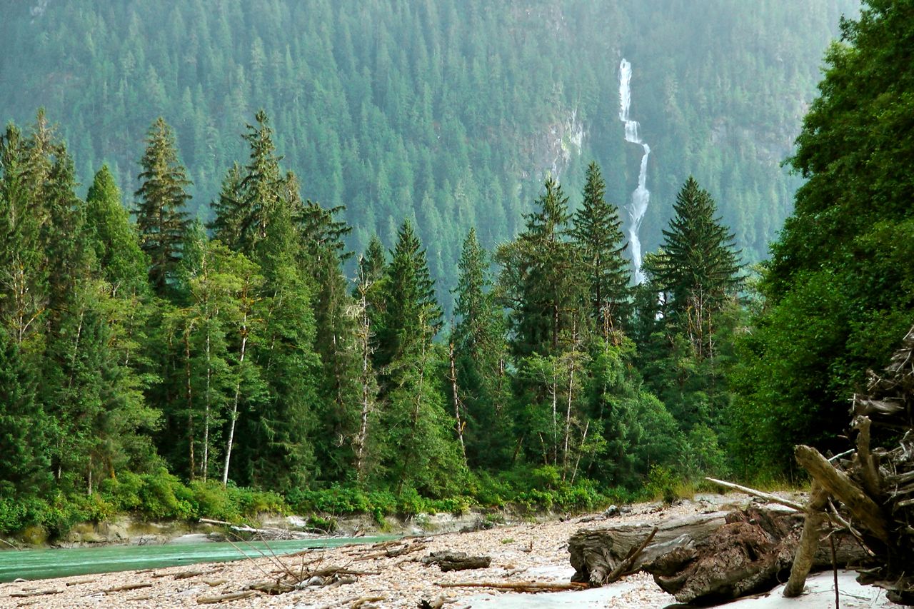 Wilderness International