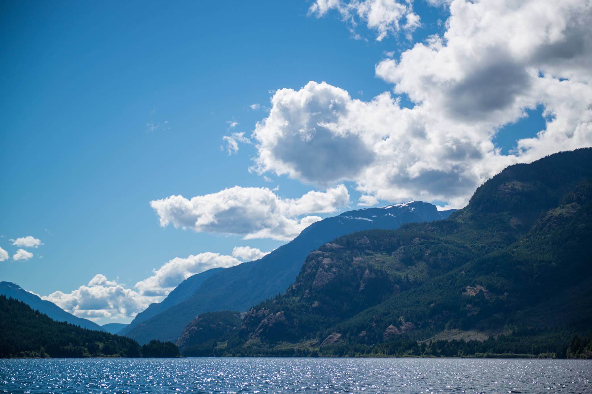 Wilderness International