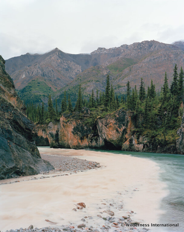 Wilderness International