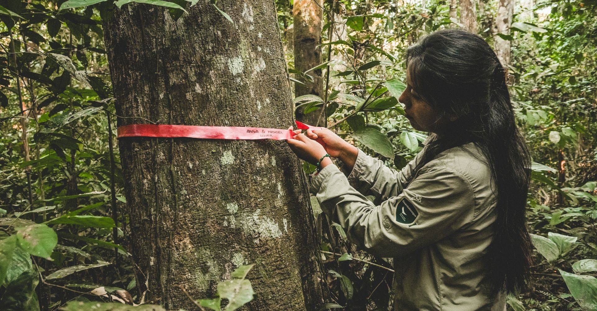 Wilderness International