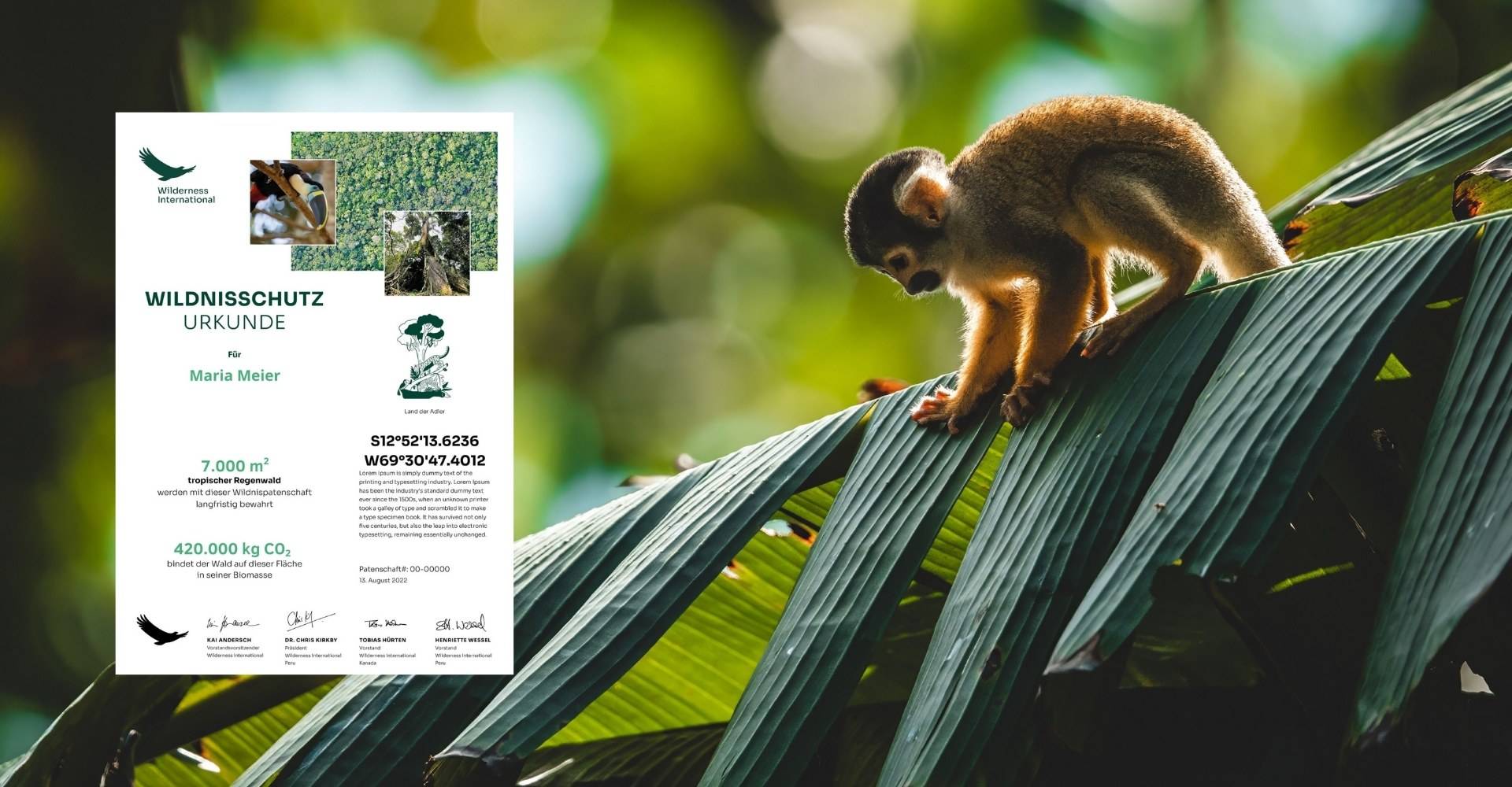 Wilderness International