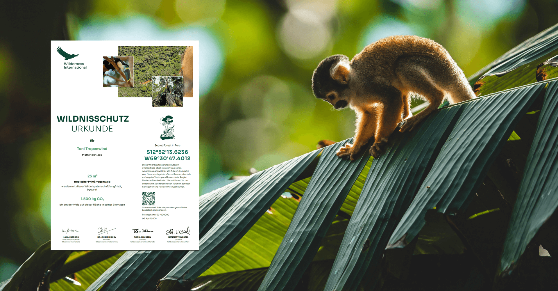 Wilderness International