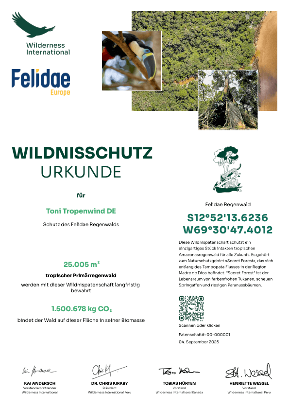 Wilderness International