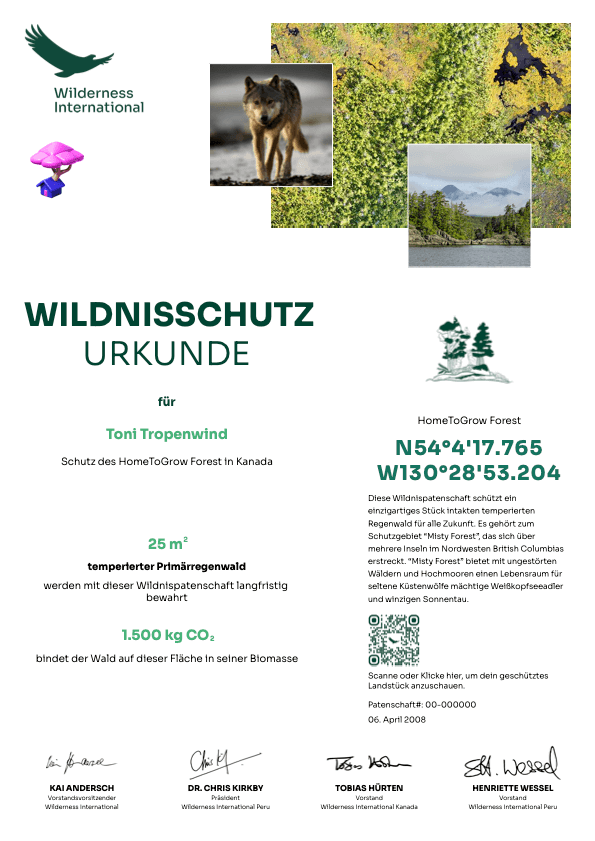 Wilderness International