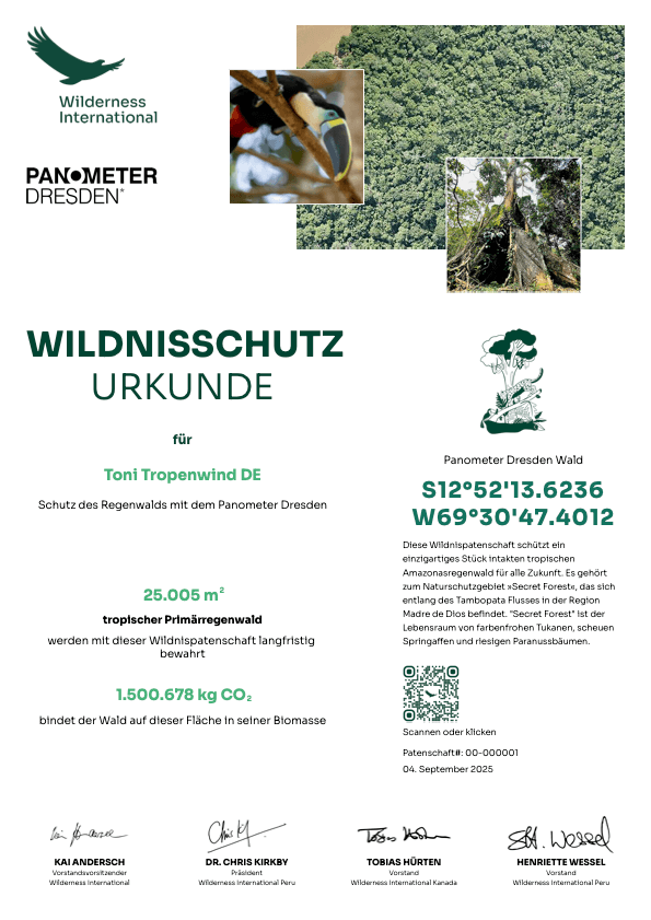 Wilderness International