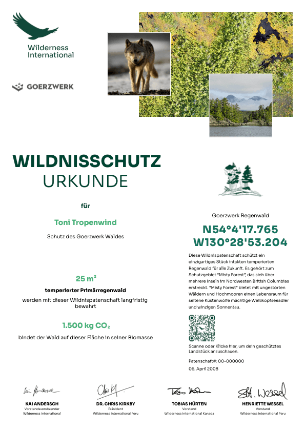 Wilderness International