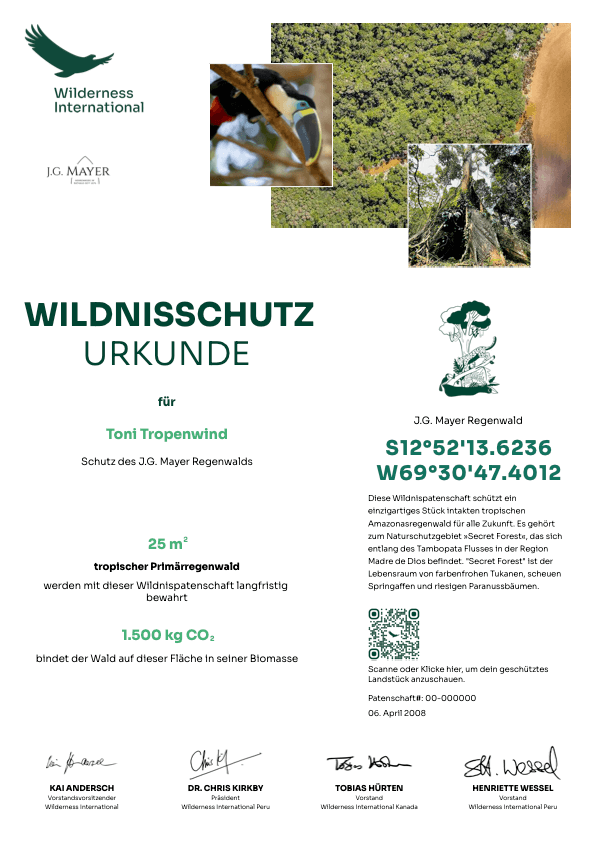 Wilderness International