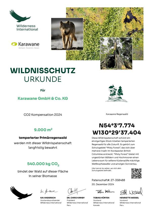 Wilderness International