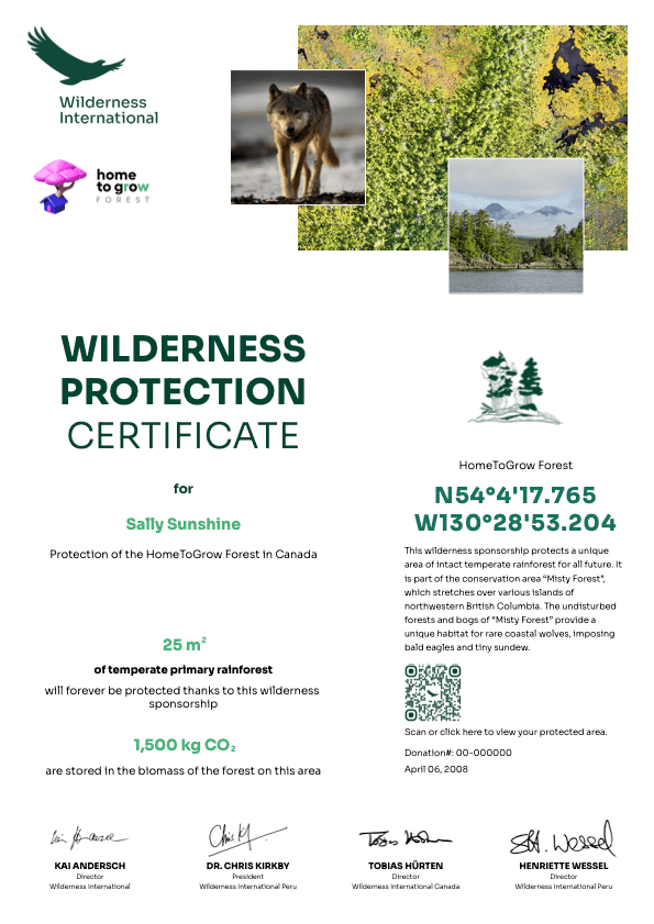 Wilderness International