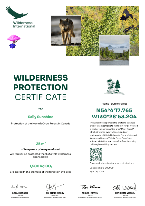 Wilderness International