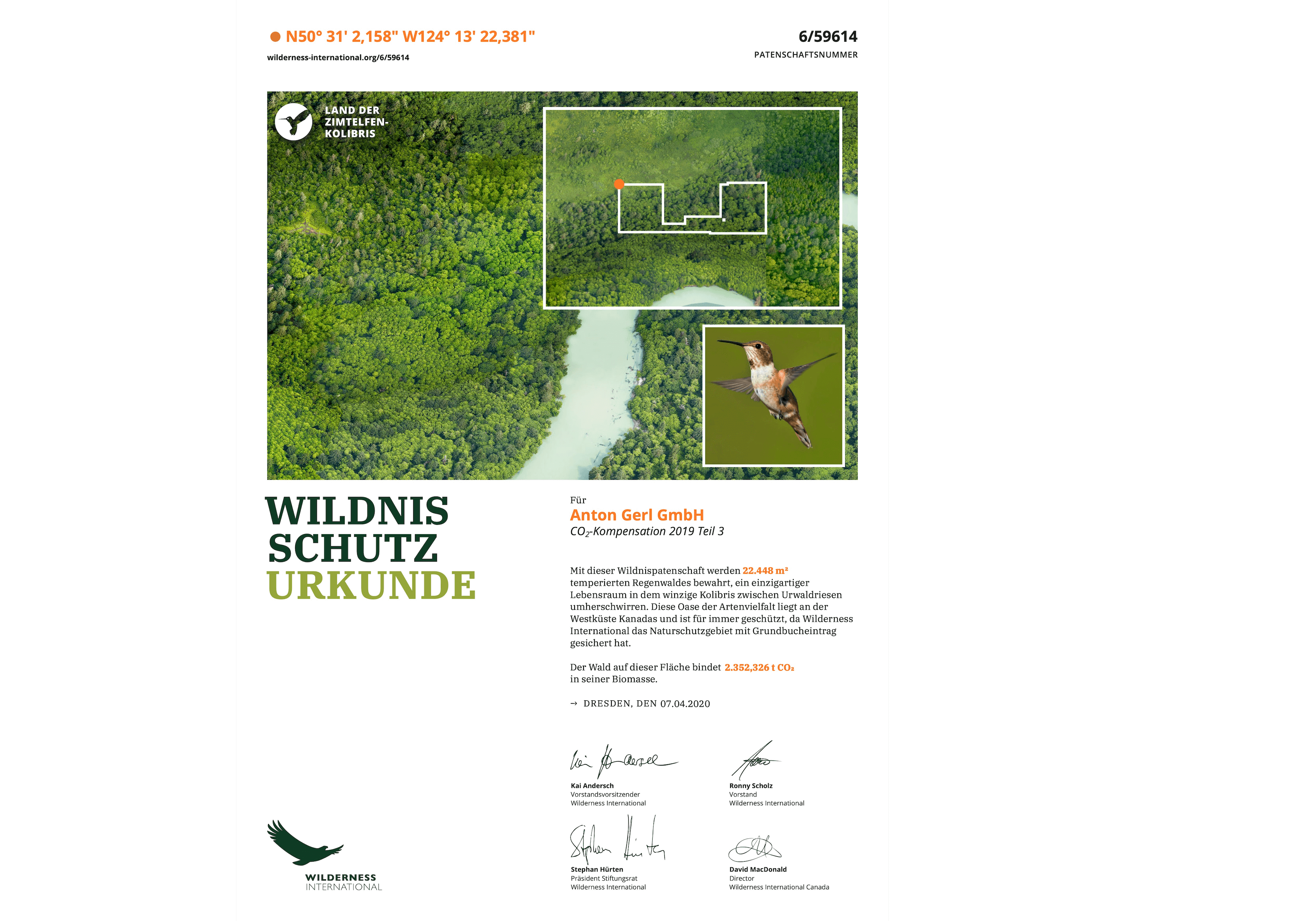 Wilderness International