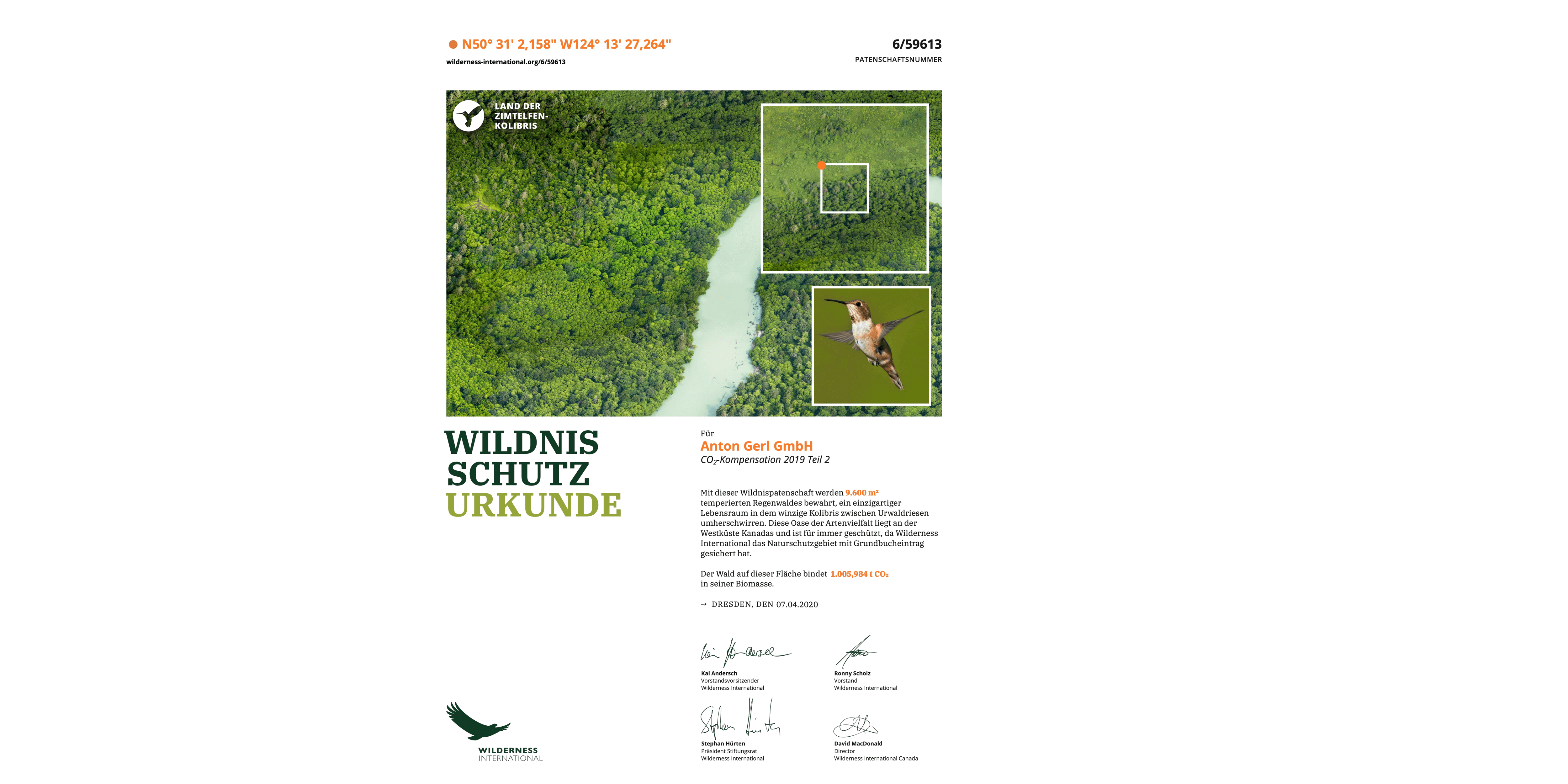 Wilderness International