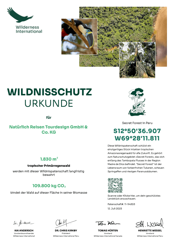 Wilderness International