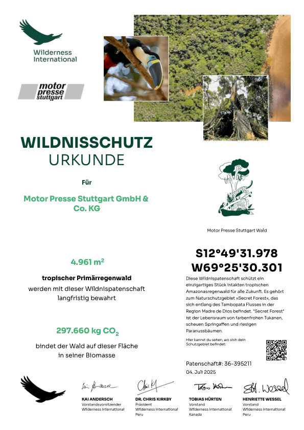 Wilderness International