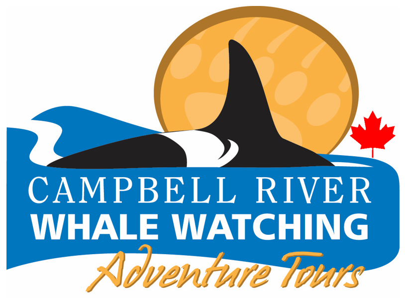 Wilderness International